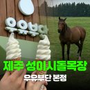 먹는풍경 | [제주추천] 제주 성이시돌목장 우유부단, 목장 풍경 보며 먹는 아이스크림 후기