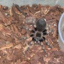 헤어로즈 이미지