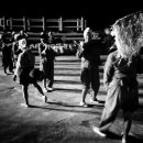 멸치후리는노래 이미지