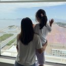 삼일성인오락실 | 후쿠오카 힐튼 씨호크 유아동반 숙소 추천(주차/편의점/드럭스토어/대욕장/오락실) 트윈 프리미엄 디럭스