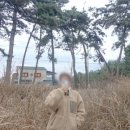 해리스테이 펜션 이미지