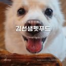 김선생펫푸드 이미지