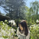대박짜장/주식회사 포유 | 🍀