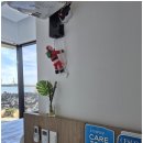 바당쿰다 이미지