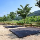 연산황산벌 오토캠핑장 이미지