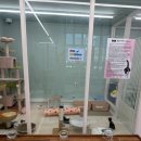 츄냥이 하우스 | 전주에서 조용히 힐링하고 싶을 때, 츄냥이하우스 다녀온 후기 :)