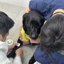 로이병원 이미지