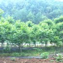 마당발부동산공인중개사사무소 이미지