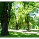 피츠로이가든 이미지