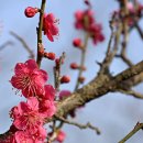 산원