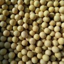 항아리농장 이미지