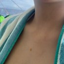보홀 여행 1일차 (팡라오 공항입국,바사노바빌라,놀다보홀,고래상어,발리카삭,미티리조트)