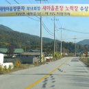 성문자 회장님 훈장 수상(2011.10.20 전국새마을 지도자 대회) 이미지