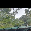 일영모자농원캠핑장 이미지