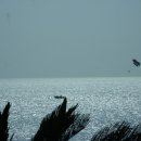 바다의별약국 이미지