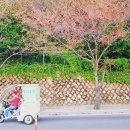 초량이바구길 이미지