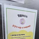 애견풀하우스 이미지