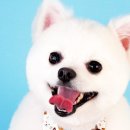 라이원주 이미지