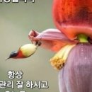 창이 행정사 사무소 이미지