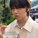 가람가에 이미지