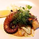 제주청년돼지 이미지