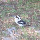 언니네 운동장 이미지