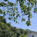 페이퍼 커팅아트 페이퍼 플라워 액자 만들기 | [ W22_1 : 헤이스가든 본식 세팅, 꽃잔치 🤍 요소플라워 by 마치스냅뮤지엄 ] 쑤만의 결혼식 드디어 완성!