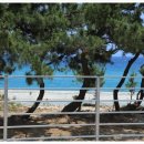 울진지중해 이미지