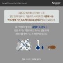 반딧불이 | 새집증후군 전문시공 업체 반딧불이 내돈내산 찐 사용 후기