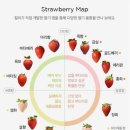 삼촌네과일 | 자취생 과일 어디서 사요? 저는 밴드에서 삽니다