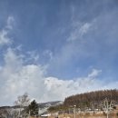 선자령 &amp; 재궁골에 ... When Winter Comes ... 이미지