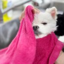 수원-0591 이미지