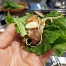 왕24시 이미지
