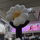 아이코닉솔루션 이미지