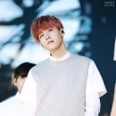 슈가드림
