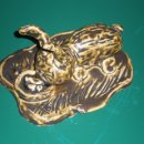 장성초 병설유치원 이미지