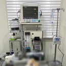 뉴케어 동물병원 이미지