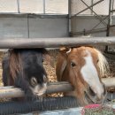 사천까샤126펜션 이미지