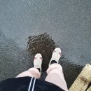 더럭키컴퍼니 이미지