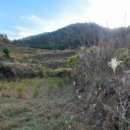 내산보건진료소 이미지