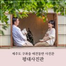 평대사진관 | 제주도 만삭스냅 평대사진관 애견 동반 촬영 후기