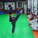 건영 태권도 이미지