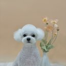 무거동 봄이네 이미지