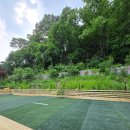 나무애견유치원 이미지