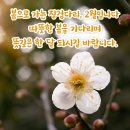 허리 통증 없애고 예방하는 방법 이미지