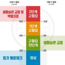 건강(Health)고혈압 낮추는 비법, 그리고 진짜 무서운 이유와 응급처치 / 저혈압을 이기는 노하우 이미지