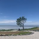 카페보리 이미지