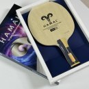 하말 | 카본 탁구 라켓 추천, 직접 써보고 결정한 프리미엄 탁구라켓 하말