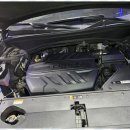 블루디젤모터스 이미지