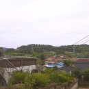 창원 다호리고분군 이미지